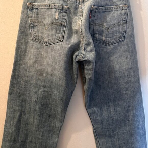 Free People Levi's RIALTO Jean Project The Evie Patchwork Butterfly Jean NEW 26 - Picture 15 of 16